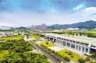 998家國家級高新技術(shù)產(chǎn)業(yè),220個工業(yè)園區(qū),2019年,光明區(qū)又干了一件大事