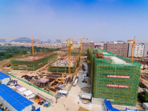 聚焦村改年底總攻丨順德村改實(shí)踐 全省矚目聚焦