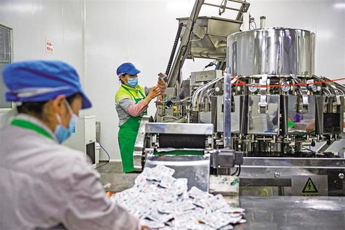 龍頭企業(yè)帶動(dòng)群眾致富增收